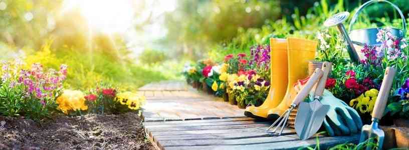 Recettes et astuces Jardin, animaux et bricolage