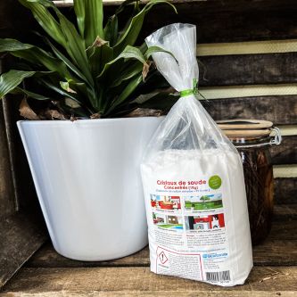 Bol et cuillère avec des cristaux de soude